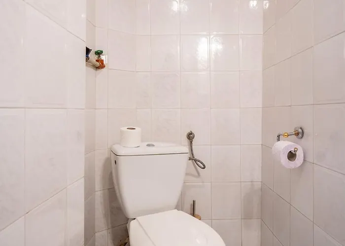 3bdr Vitosha Str With Cinema Sofia